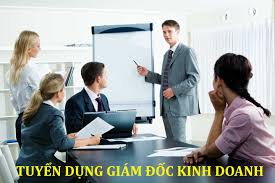 Tuyển dụng giám đốc kinh doanh tại bình định